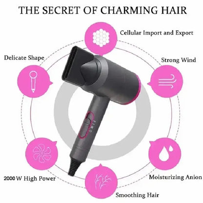 Professional Ionic Hair Dryer