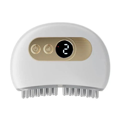 Electric Meridian Scalp Brush