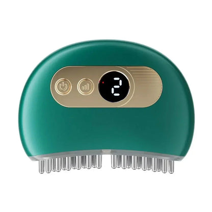 Electric Meridian Scalp Brush